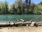 Die Natur als Protagonistin im Landschaftspark Reuss (Quelle: LuzernPlus)